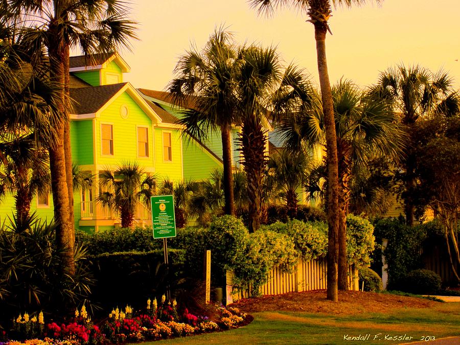 Green Beauty at Isle of Palms Photograph by Kendall Kessler