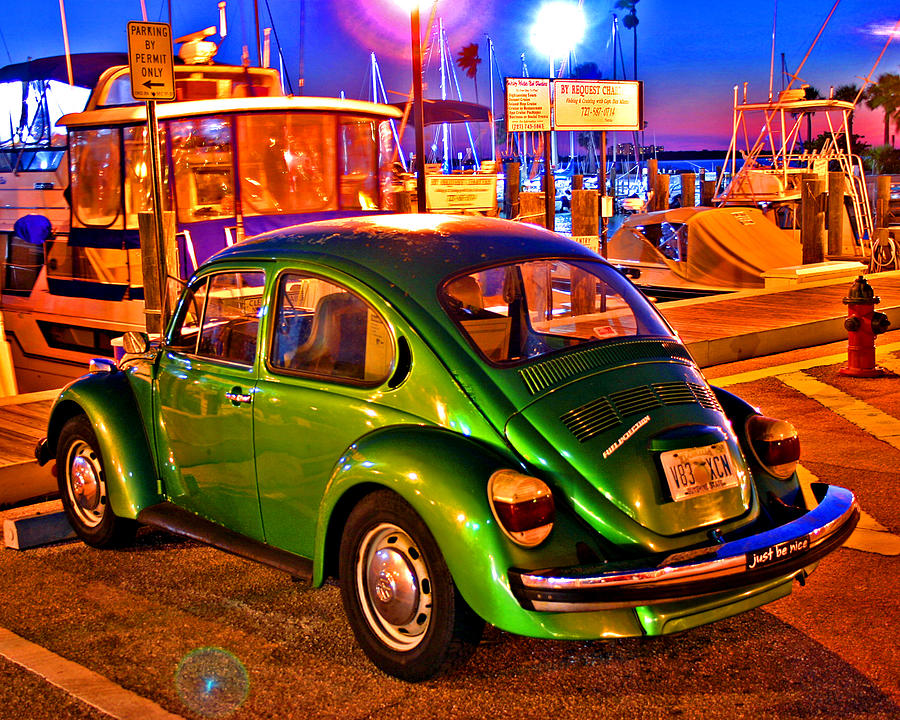 Green Beetle Photograph by Christopher McKenzie