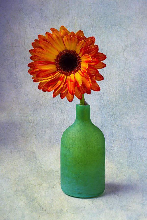 Bottle Photograph - Green Bottle With Orange Daisy by Garry Gay