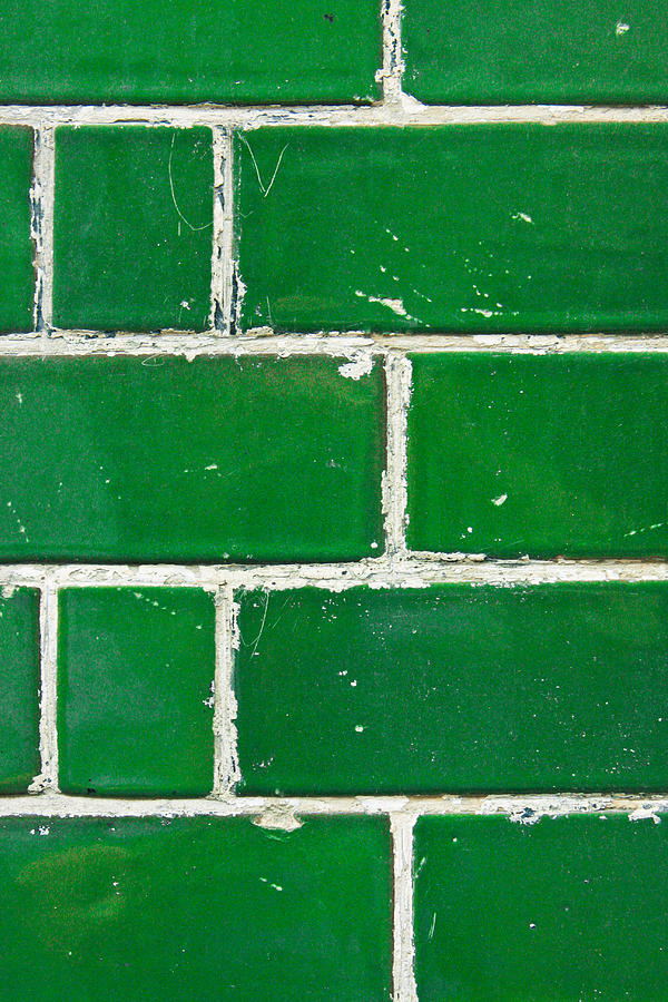 Architecture Photograph - Green bricks by Tom Gowanlock