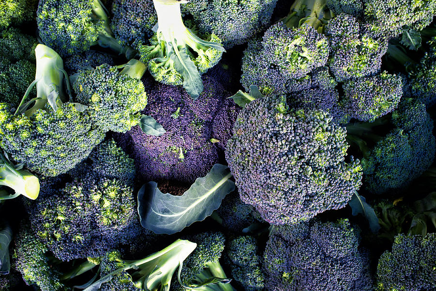 Broccoli Photograph - Green Broccoli by Tanya Harrison