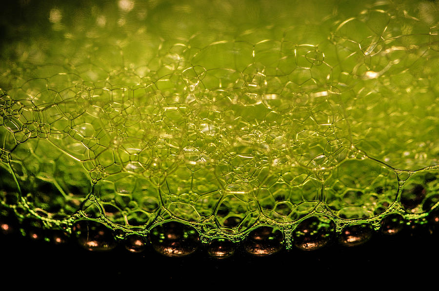 Green bubbles Photograph by Gerald Kloss