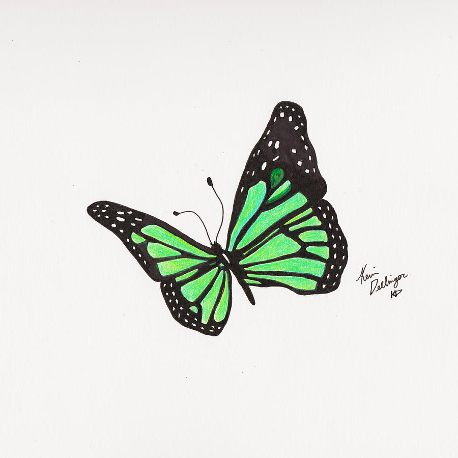 Green Butterfly Drawing by Kevin Dellinger - Pixels