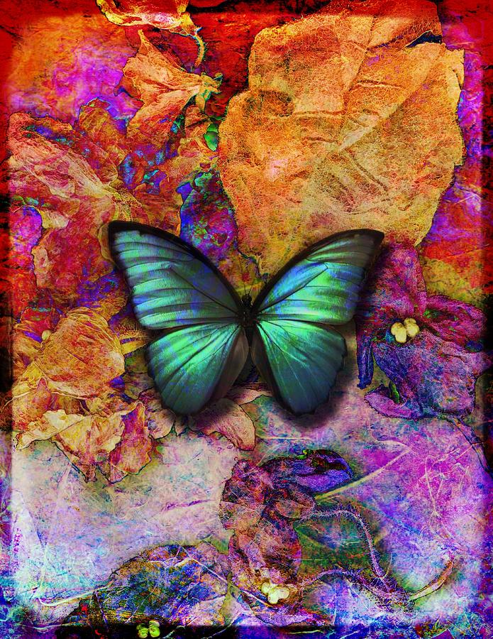 Butterfly Digital Art - Green butterfly on dry flowers by Lilia S