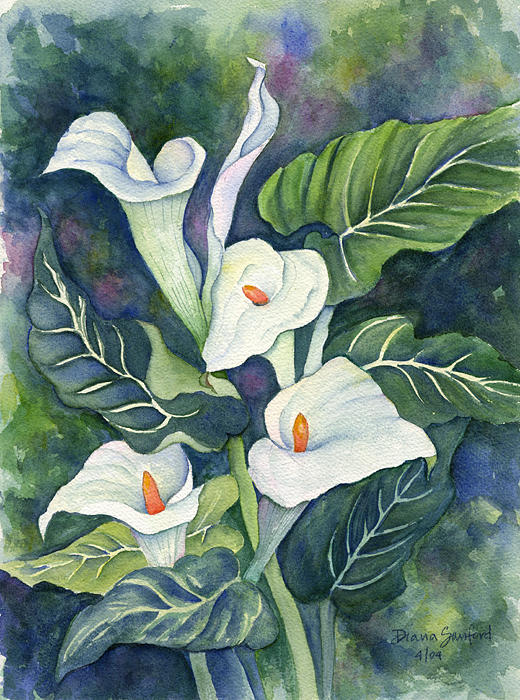 Flowers Still Life Painting - Green Callas by Diana Sanford