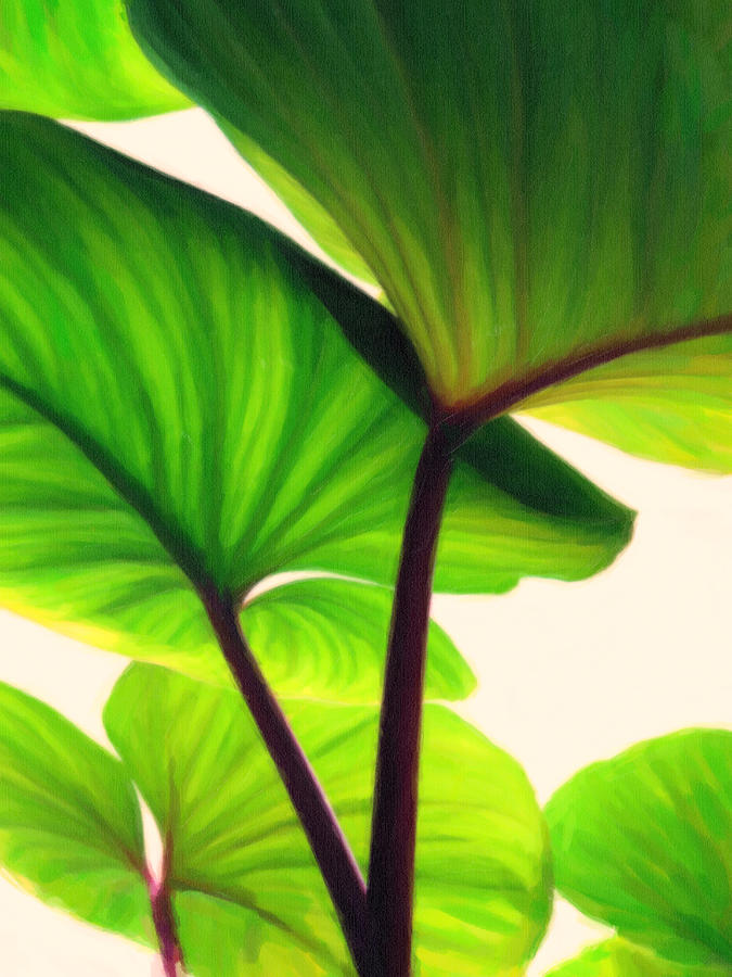 Green Canopy Pastel Painting by MotionAge Designs
