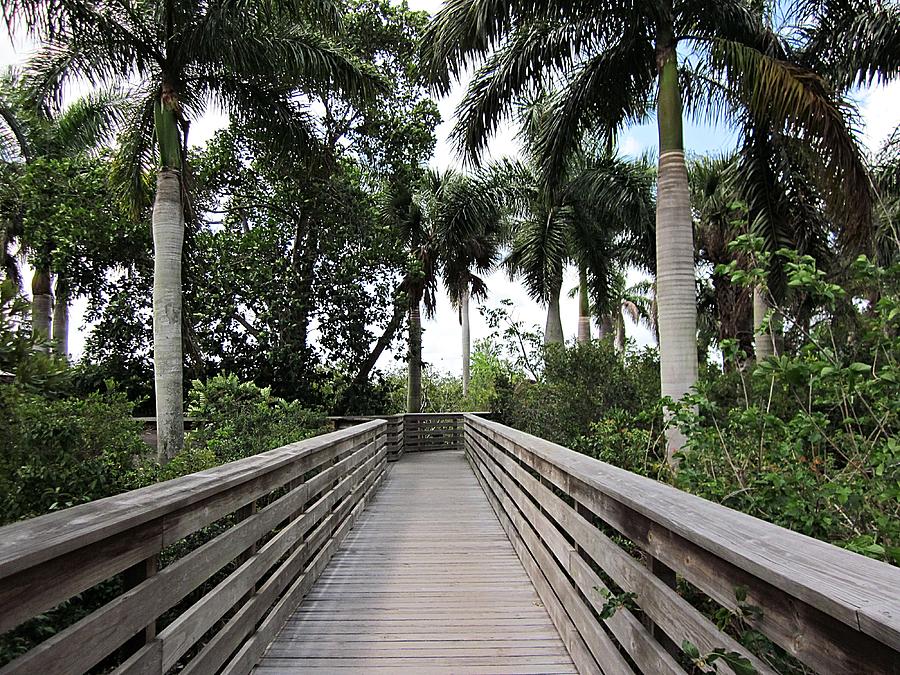 Green Cay Nature Preserve Photograph by MTBobbins Photography