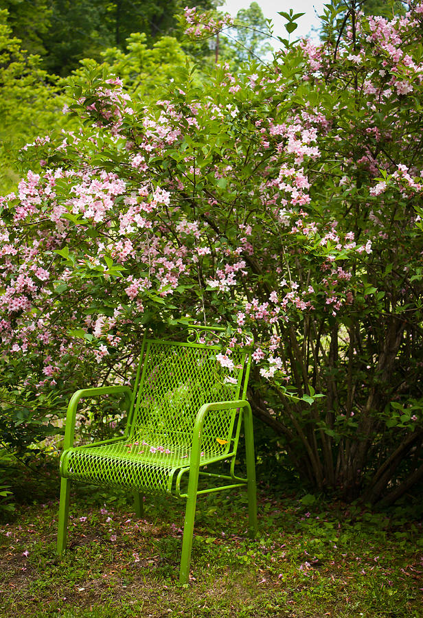 Green Chair Photograph by Lena Auxier