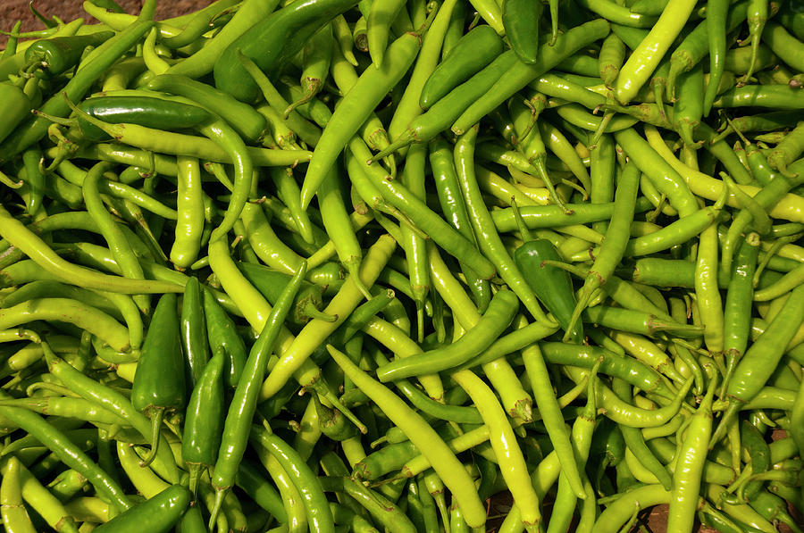 Green Chilies For Sale, Fatehpur Sikri Photograph by Inger Hogstrom ...