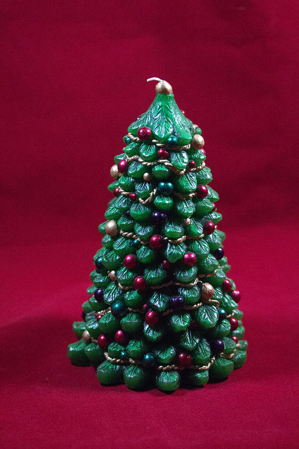 Green Christmas tree candle Photograph by Susan Jensen