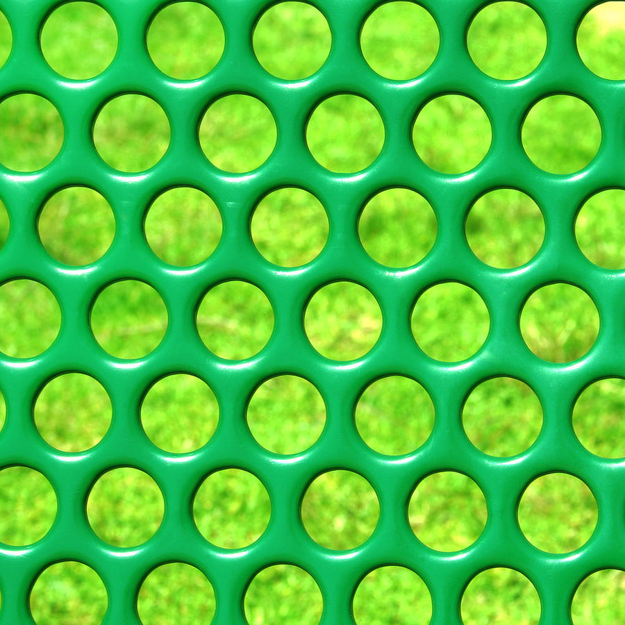 Green Circles Photograph by Art Block Collections