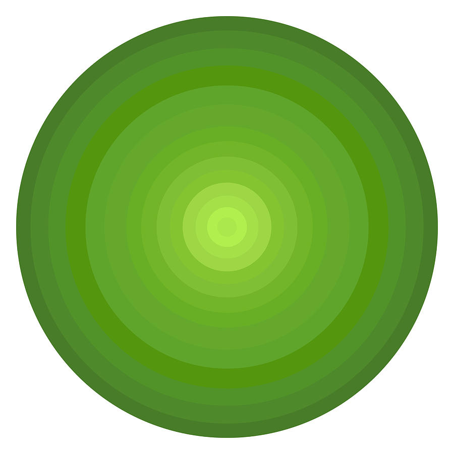 Green Circles Painting by Frank Tschakert