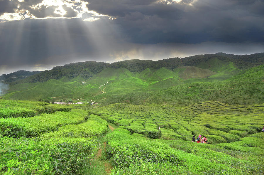 Green, Cloudy And Ray Photograph by Abuirfanoutdoorgraphy