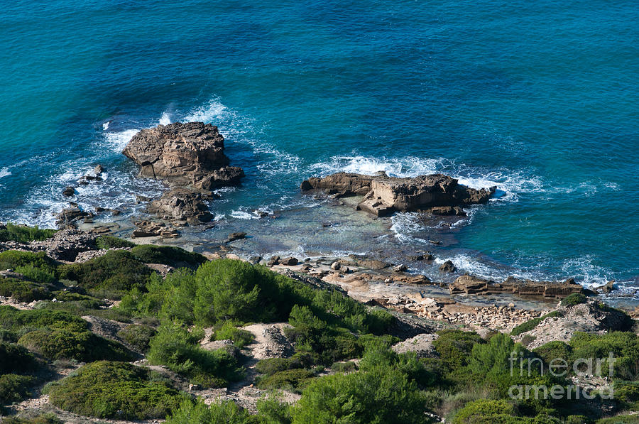 Green Coast Majorca Photograph