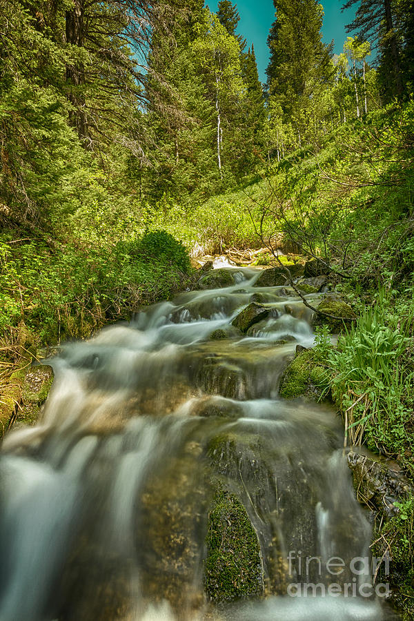 Mountain Photograph - Green Colors and a Stream HDR by Mitch Johanson