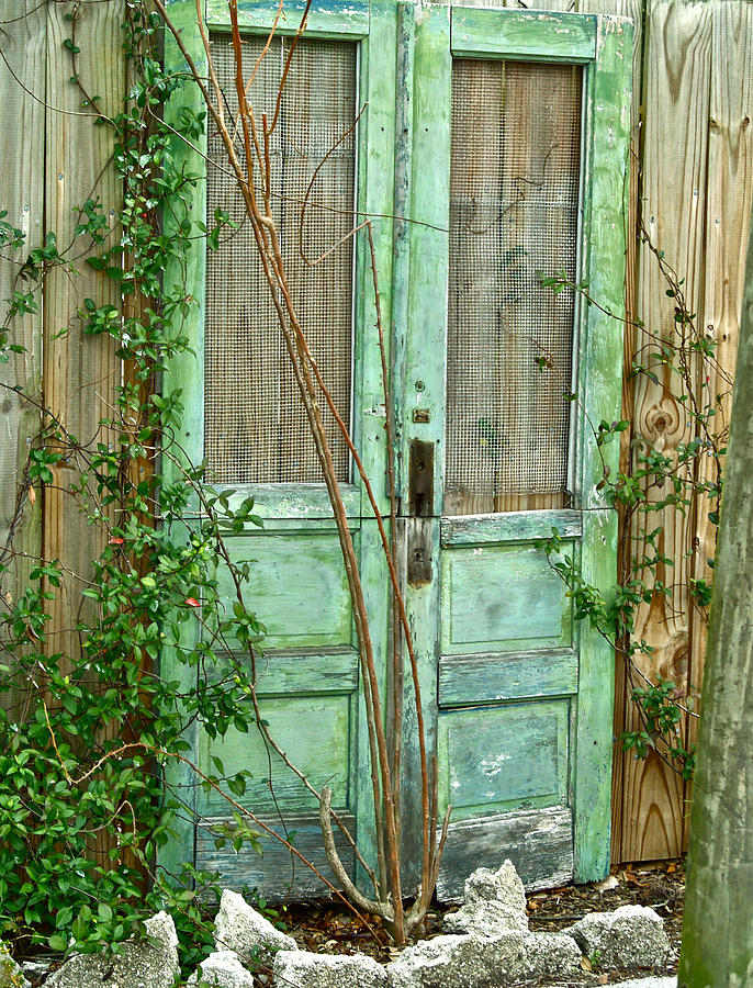 Green Cottage Doors Photograph by Angie Mahoney