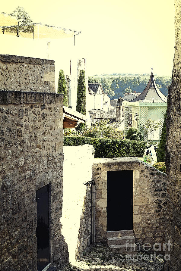 Green Courtyards Behind Medieval Walls Photograph by Heiko Koehrer-Wagner