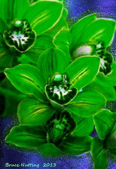 Green Cymbidiums Painting by Bruce Nutting