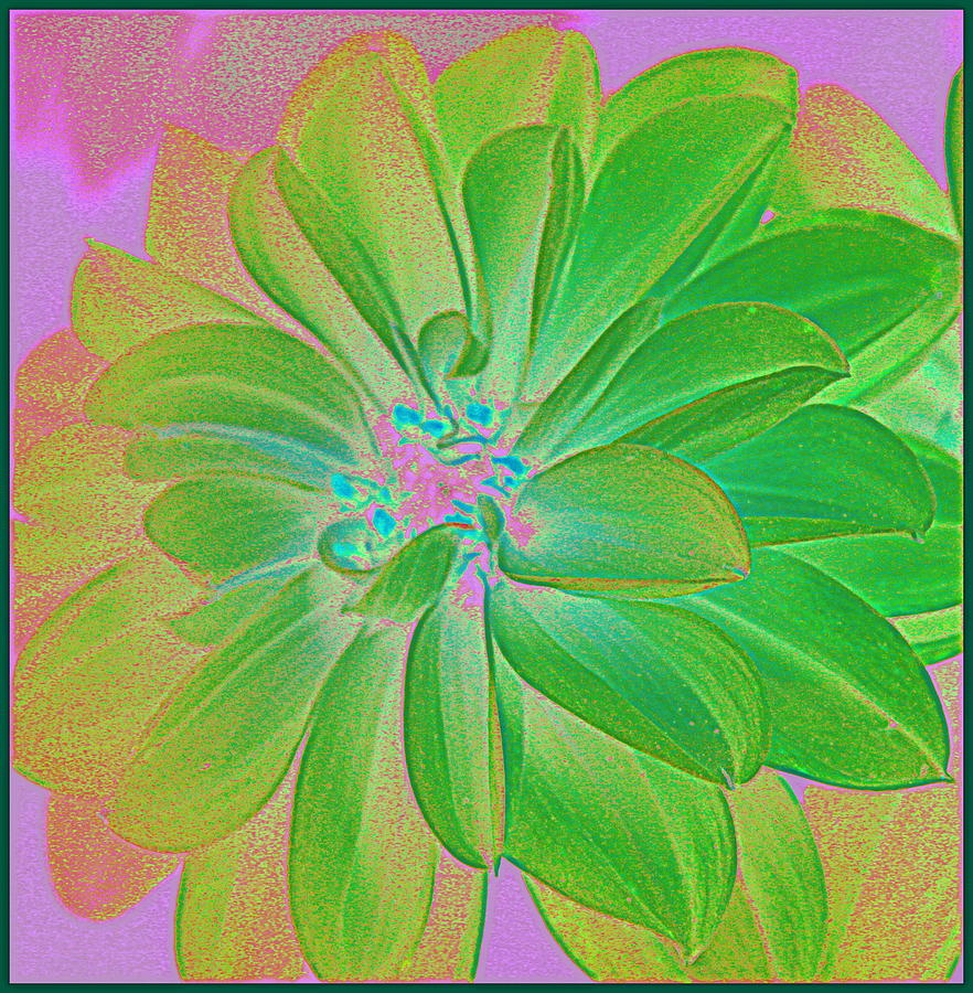 Flower Photograph - Green Dahlia Pop Art by Dora Sofia Caputo