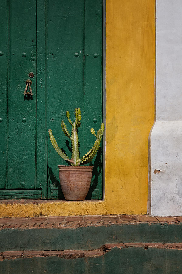 Green Door Photograph by Marzena Grabczynska Lorenc
