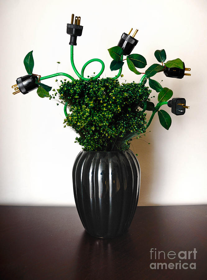 Flowers Still Life Photograph - Green Energy Floral Arrangement of Electrical Plugs by Amy Cicconi