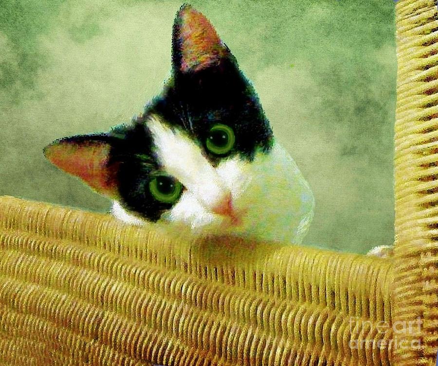 Cat Photograph - Green Eyed Cat on Wicker by Janette Boyd
