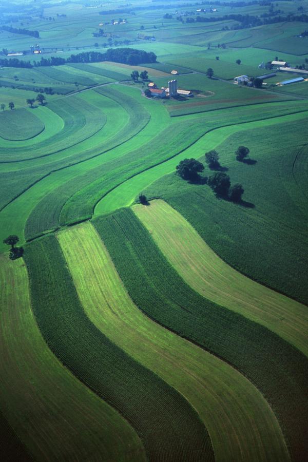 Green farm strips and contours aerial Photograph by Blair Seitz