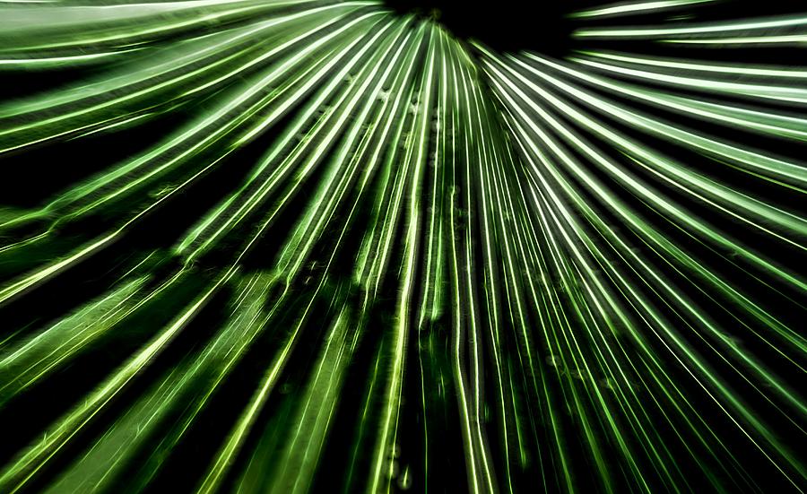 Green Fibers Digital Art by Dan Sproul