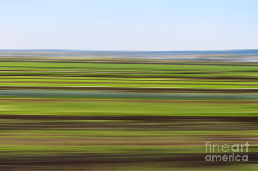 Green Field Abstract Photograph by Les Palenik