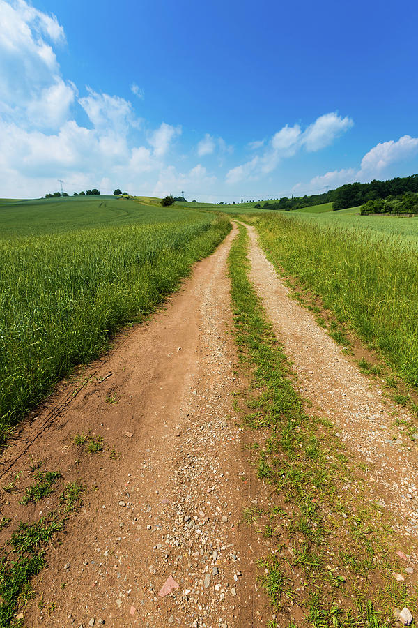 Green Field And Brown Dirt Track Photograph by Science Photo Library Green Field And Brown Dirt Track Photograph by Science Photo Library