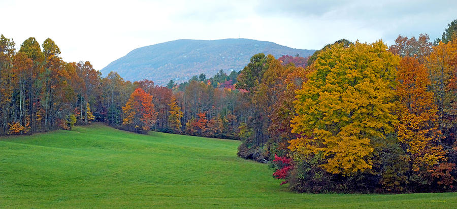 Green Field in the Fall Photograph by Duane McCullough