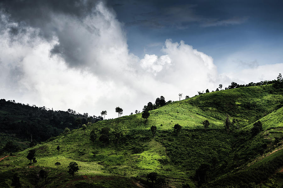 Green Field Photograph by Natapong Supalertsophon