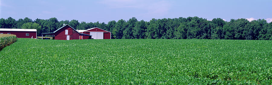Green Field With Barn Photograph by Panoramic Images