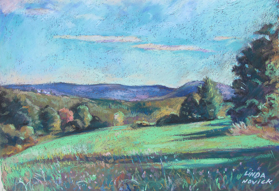 Green Field With Shadows Painting by Linda Novick