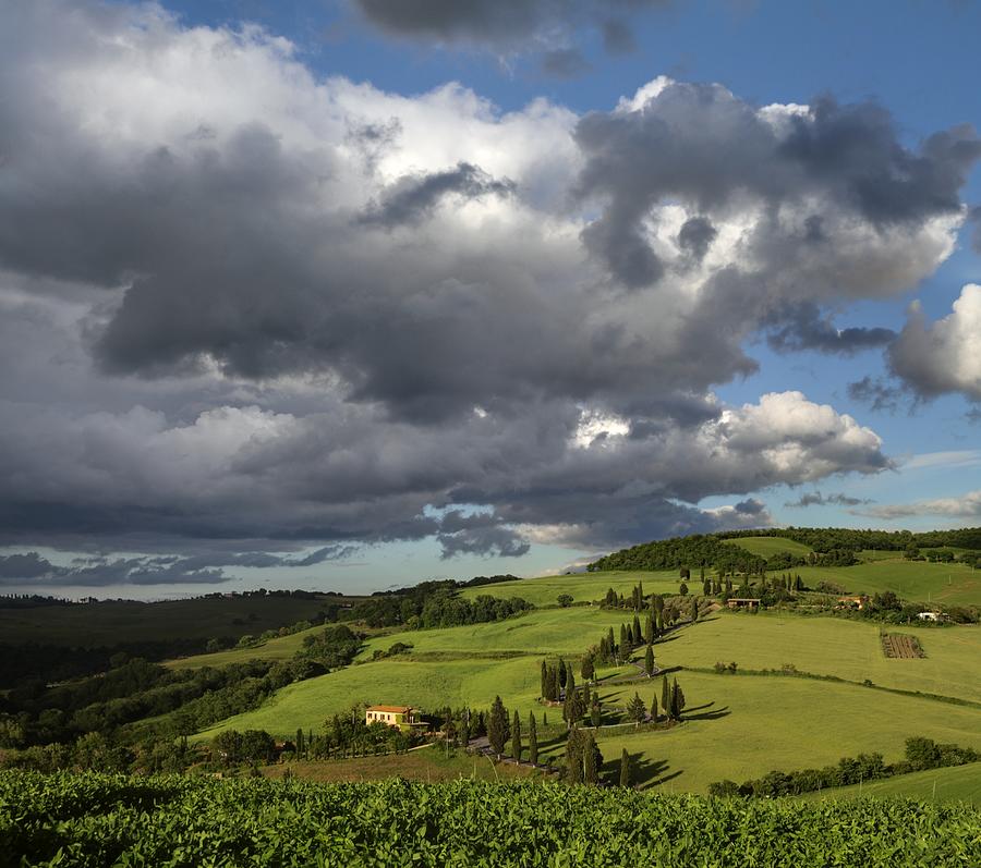 Green Fields And Cypres Roads Of Tuscany Photograph by © Jan Zwilling
