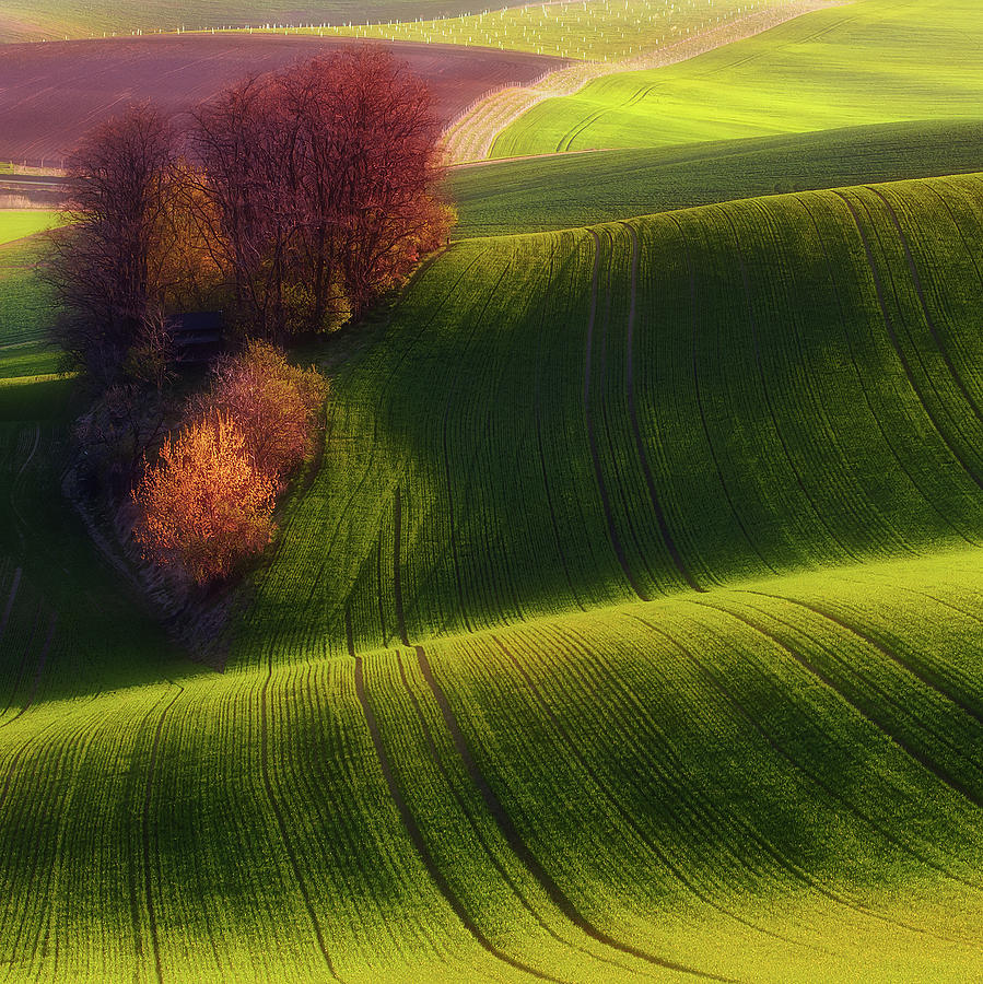 Green Fields Photograph by Piotr Krol (bax)