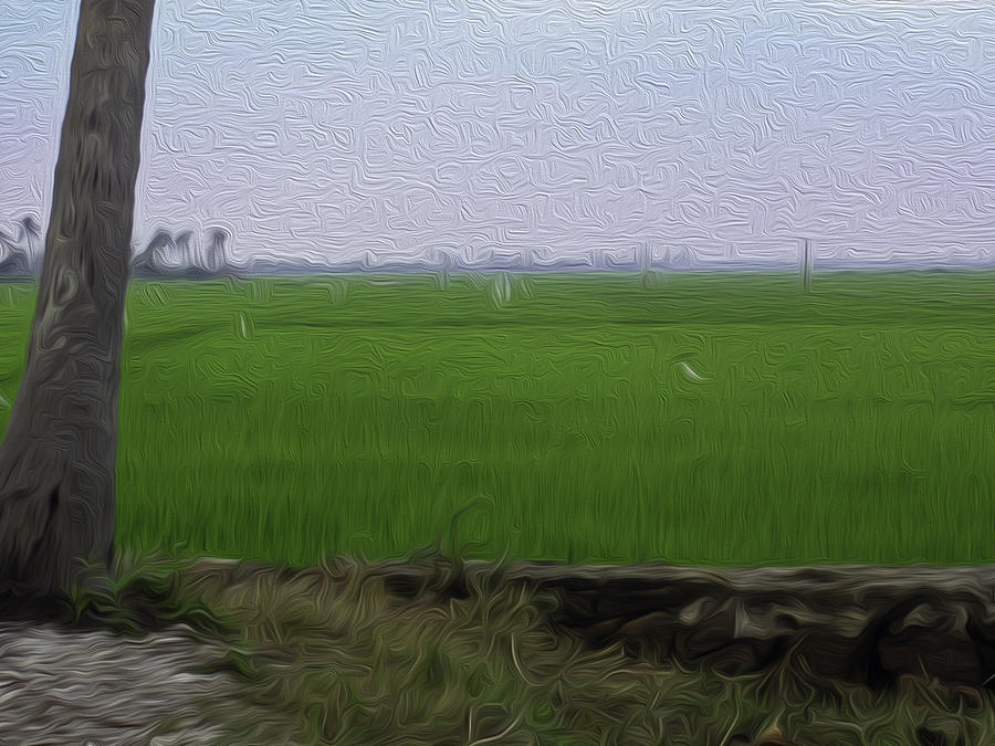 Green fields with birds in Kerala Digital Art by Ashish Agarwal