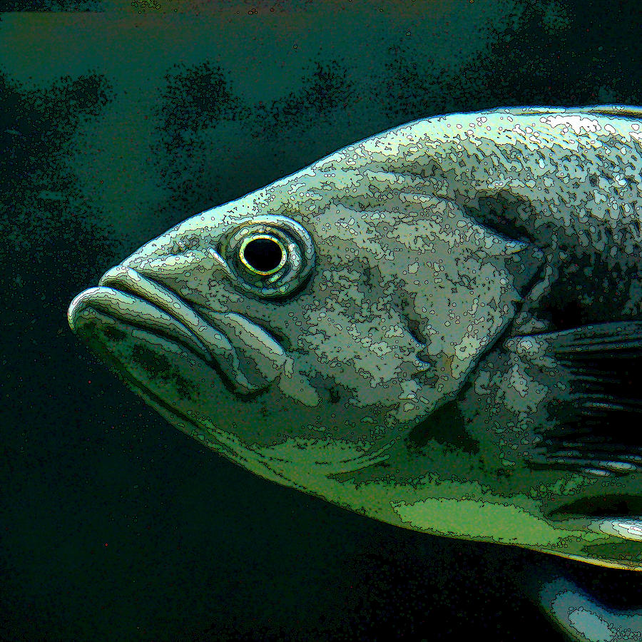 Green Fish Photograph by Art Block Collections