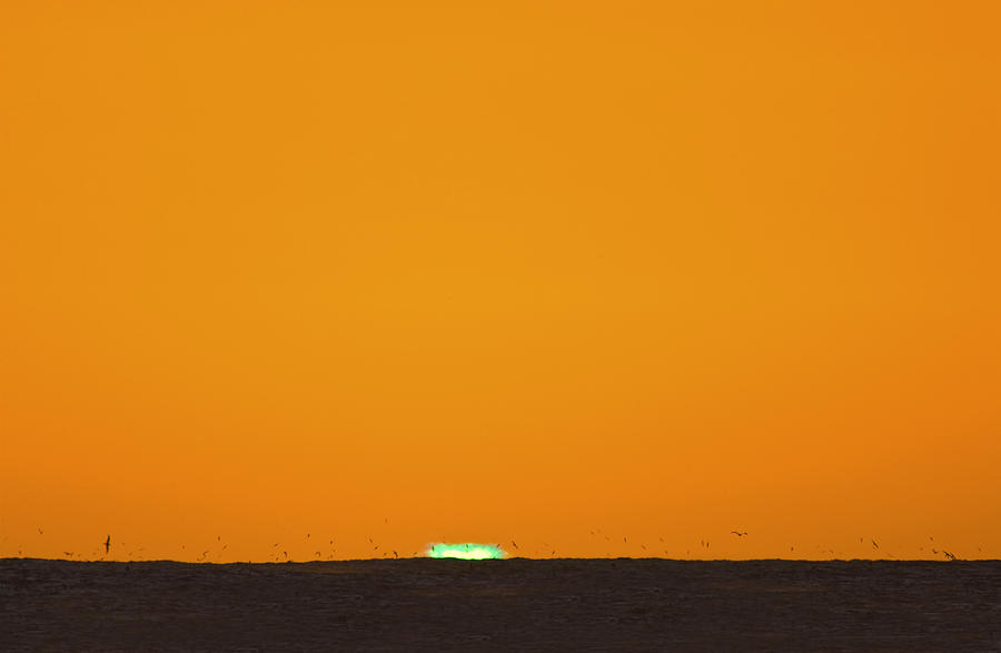 Sunset Photograph - Green Flash Bird Pile by Sean Davey