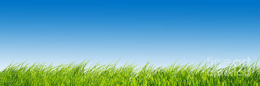 Nature Photograph - Green fresh grass on blue sky panorama. by Michal Bednarek