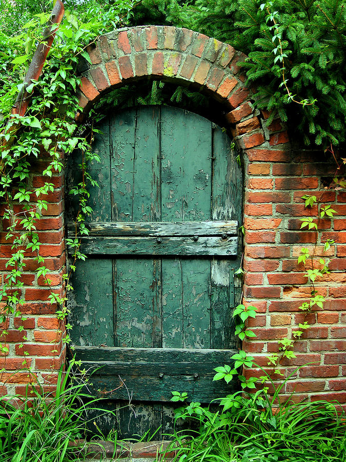 Green Garden Door Photograph by Steven Ainsworth