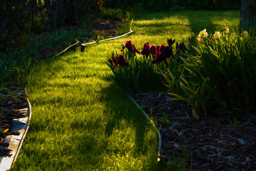 Spring Digital Art - Green Garden Path - Impressions Of Spring by Georgia Mizuleva