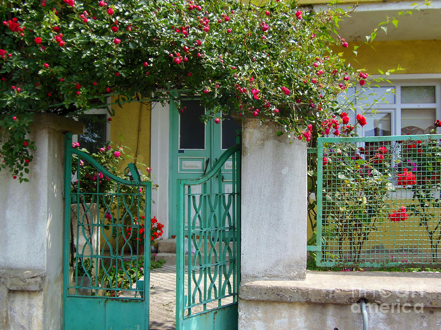 Green Gate with Rose Trellis Photograph by Lou Ann Bagnall