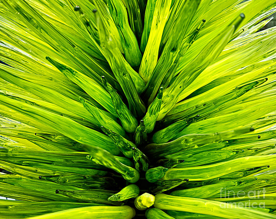 Green Glass Abstract Photograph by Edward Fielding