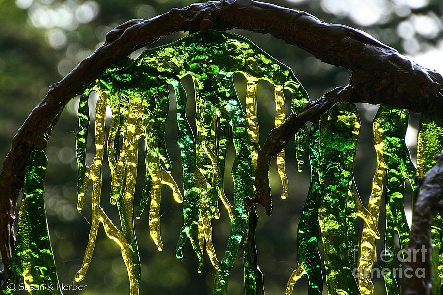 Green Glass Weeping Photograph by Susan Herber