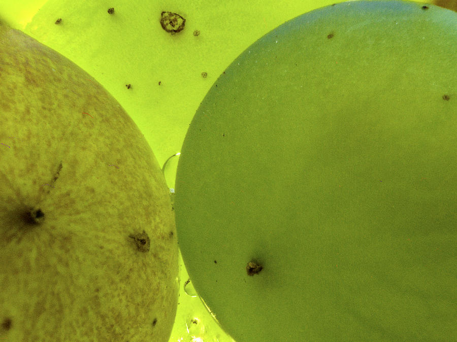 Green Grape Close up Photograph by Jean Noren