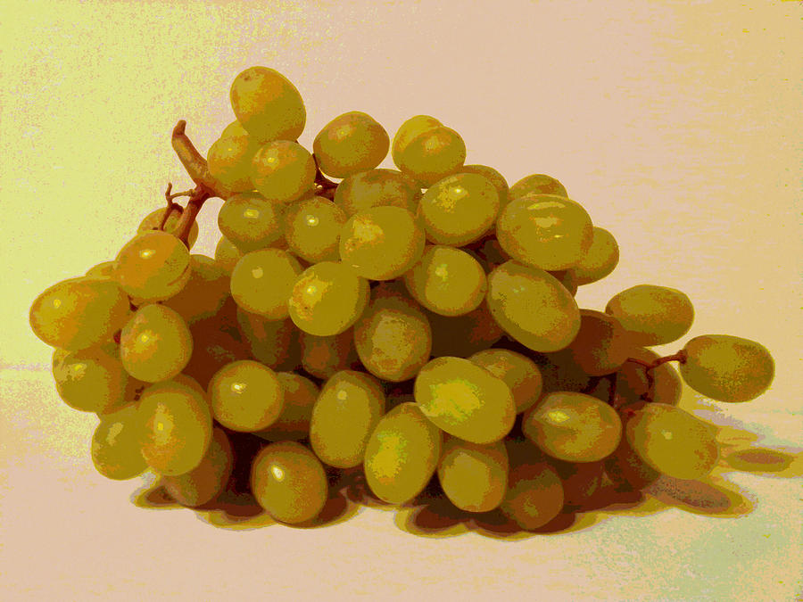 Grape Painting - Green Grapes by Erica  Darknell 