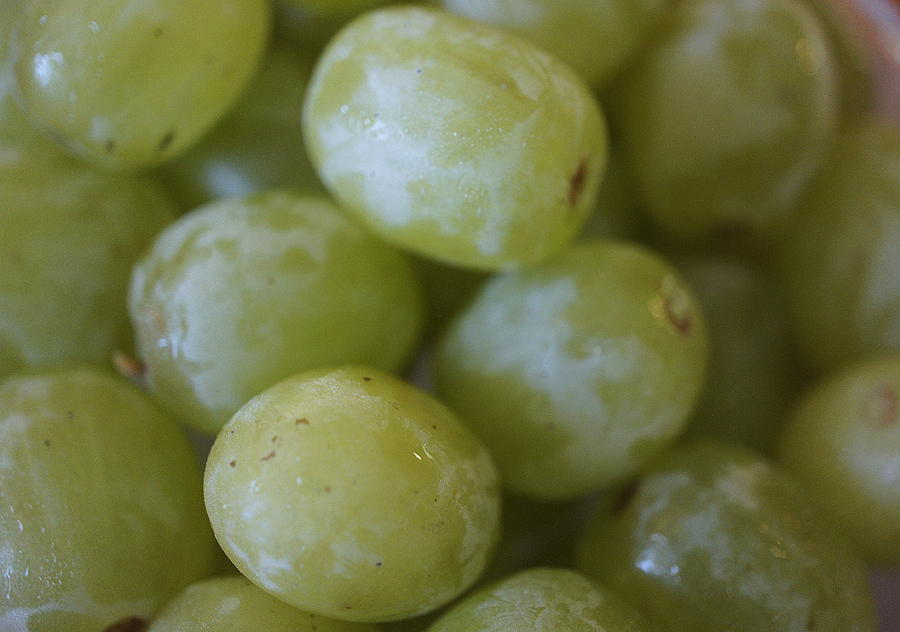 Nature Photograph - Green Grapes by Laurie Perry