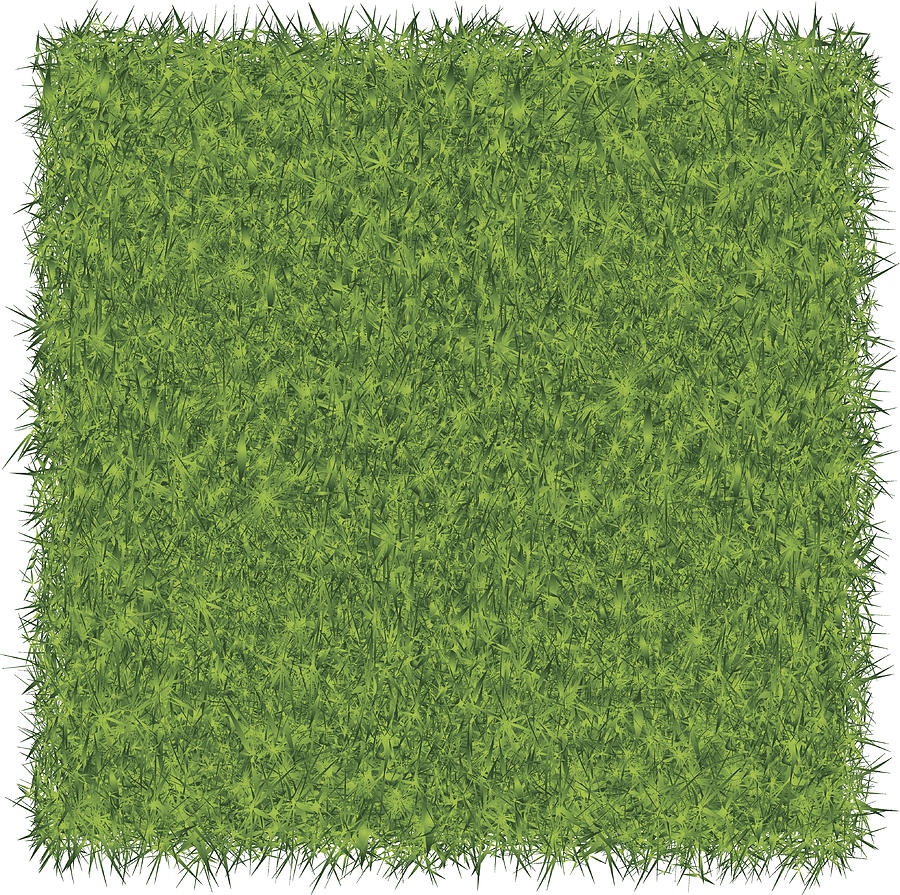 Green Grass Background Drawing by JoeLena
