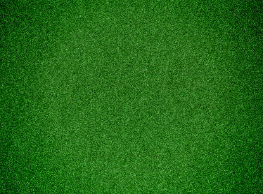 Green grass background textured Photograph by Hudiemm